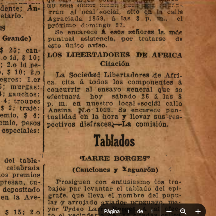 libertadores de Africa